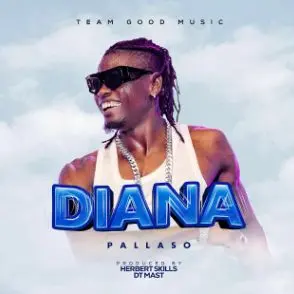 Diana by Pallaso